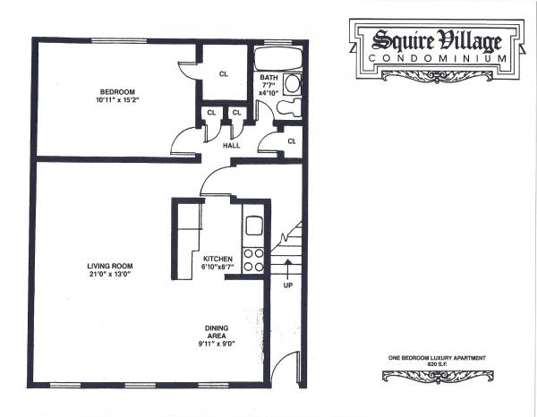 1 Bedroom Luxery